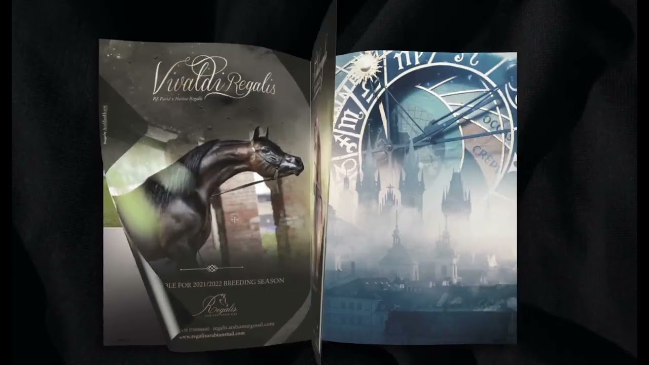Arabian Horse Magazine Promotional Video