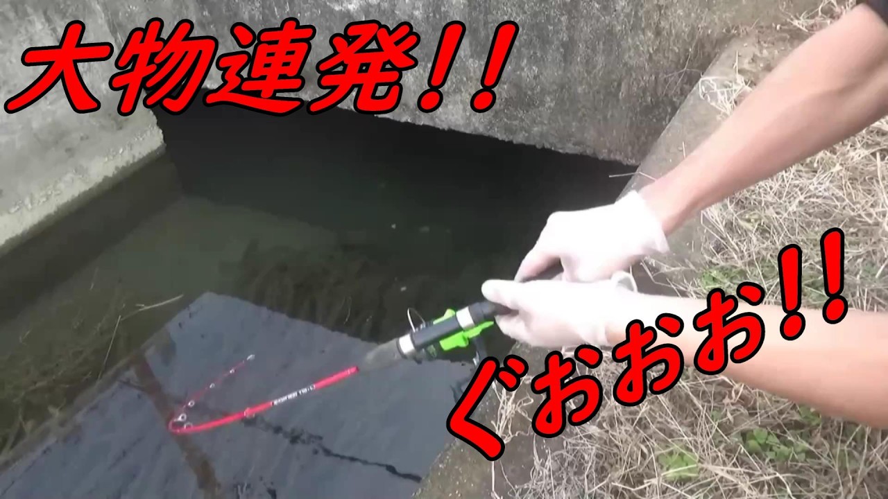 ぐぉぉぉ!!　大物連発！！