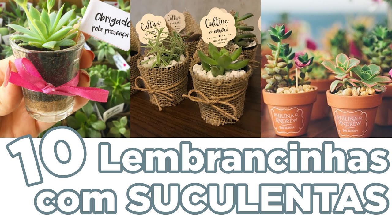 🌵 10 ideias de lembrancinhas com suculentas