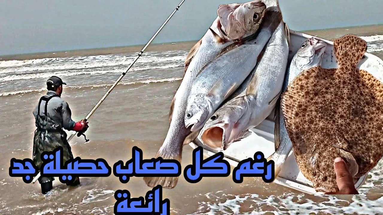 Vlog : صيد السمك بسنارة أخطر طريقة مجربة وفعالة 100٪ من شاطئ لكل مبتدئين Adventure_de_pêche_au_Maroc