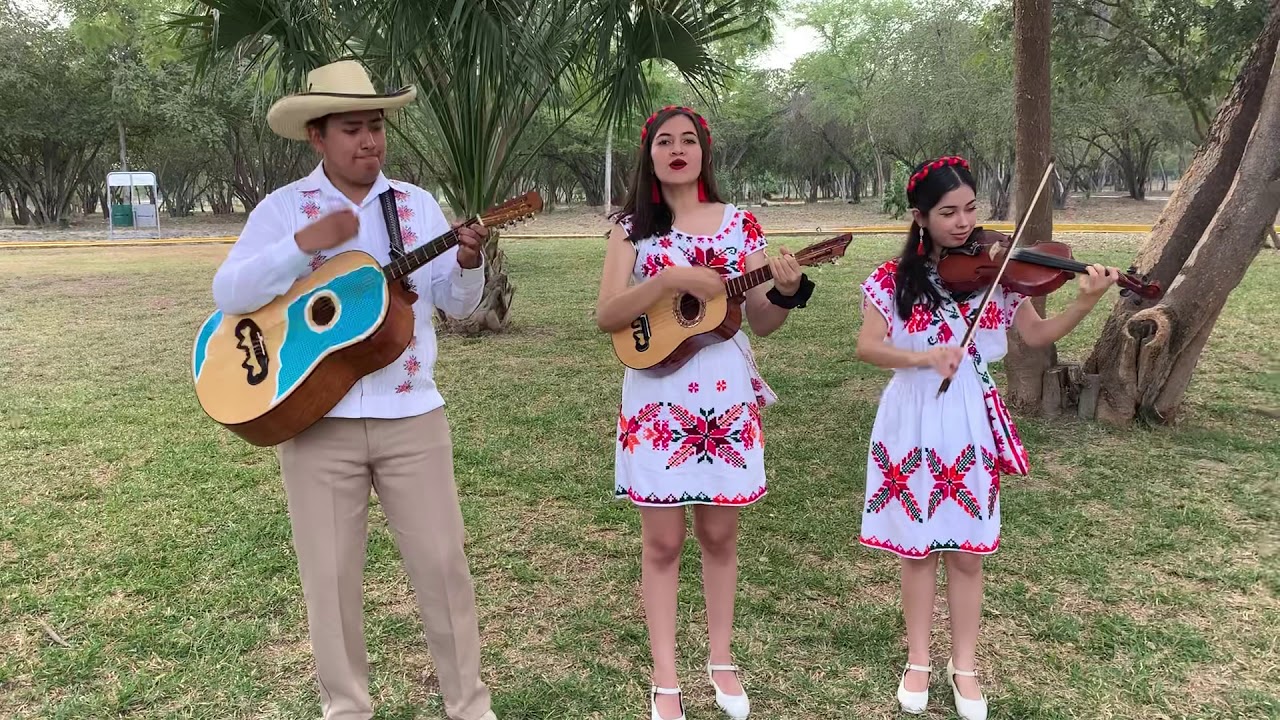 El Caimán - Trio Cantores de Tantocob