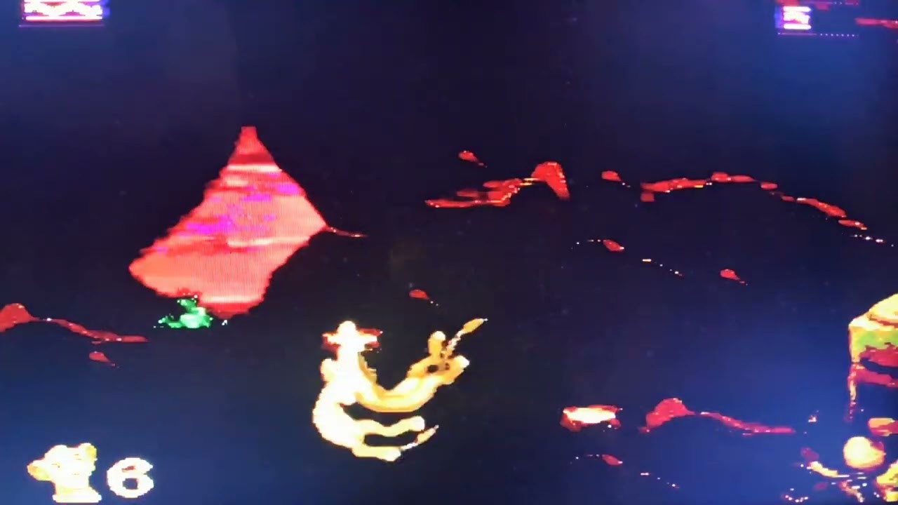 THE lion King MD !!!