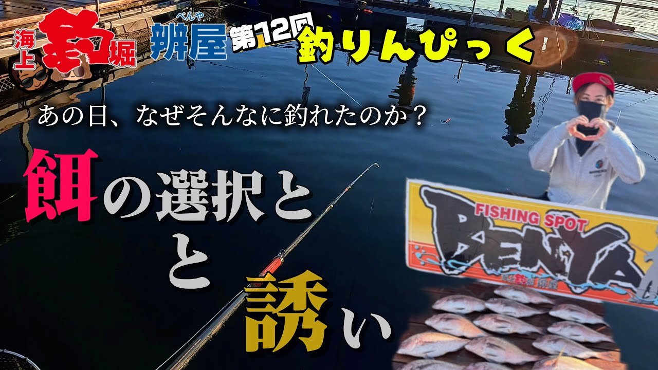【海上釣堀】あの日、なぜ釣れた？餌の選択と誘いがハマった瞬間［辨屋釣りんぴっく前編］