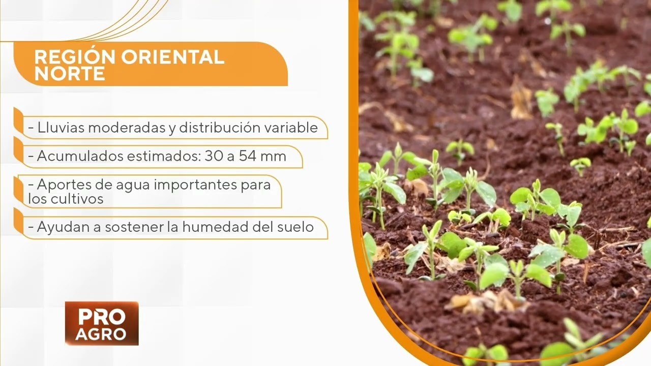 Pronóstico de temperatura media