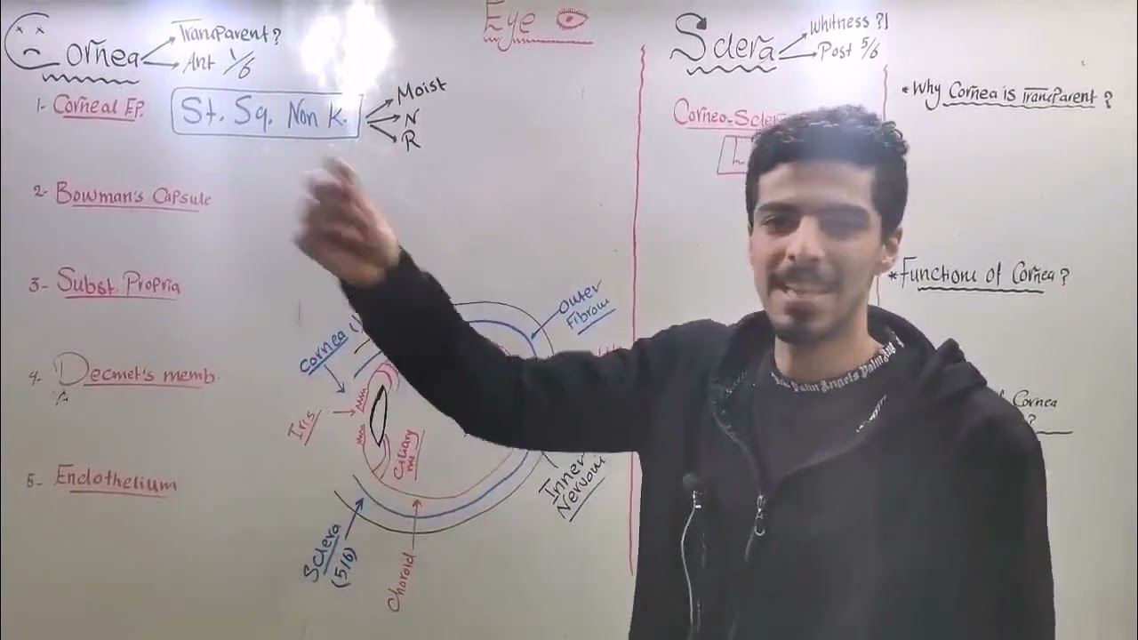 CNS 19 (Cornea & Sclera)