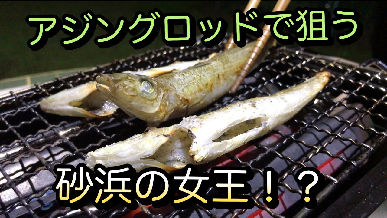 南房の綺麗な砂浜でアジングならぬキスング！？簡単！ジグ単ワーム仕掛けにアシストフックちょい足しでキスが釣れちゃう！Gopro hero9 black