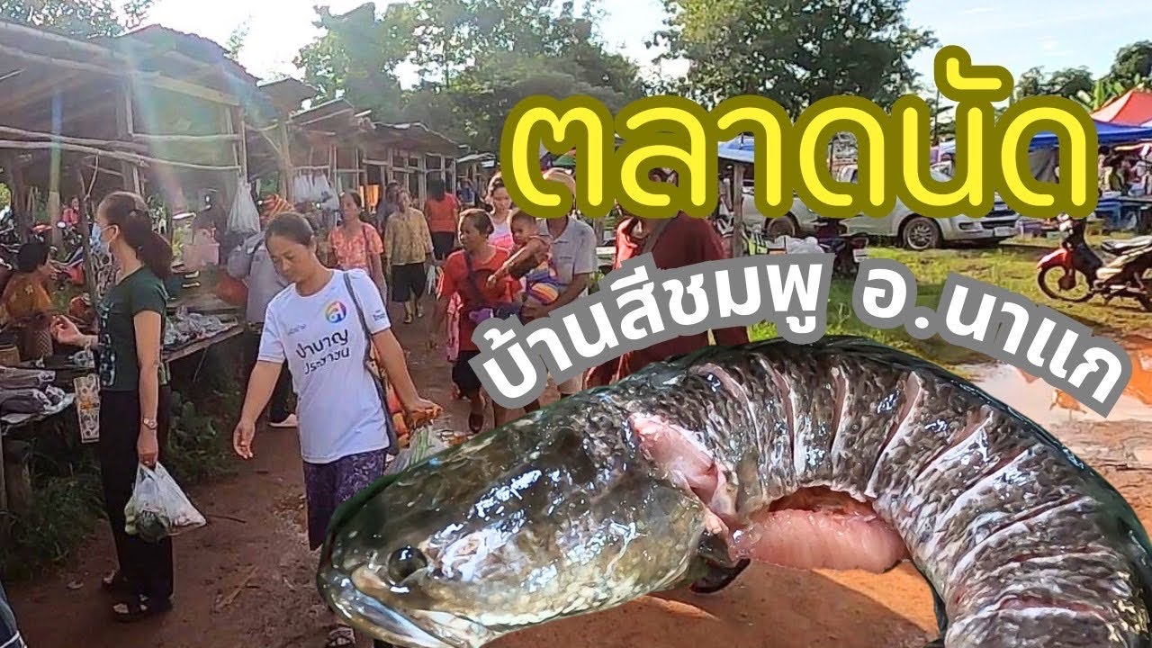 เจอของอร่อย! เมนูเด็ดที่ตลาดนัด บ้านสีชมพู ห้ามพลาด!