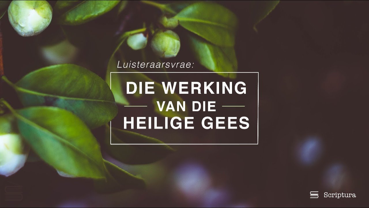 Luisteraarsvrae: Die werking van die Heilige Gees