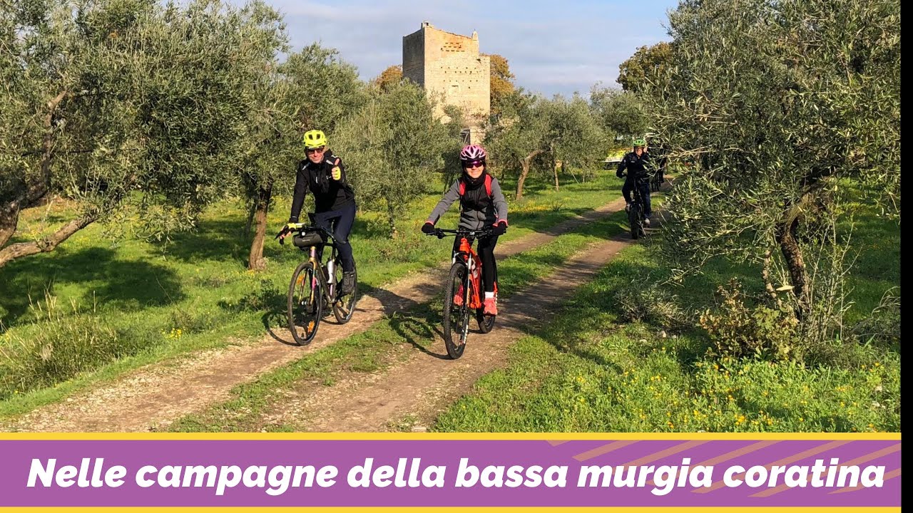 Alla scoperta della bassa murgia del territorio di CORATO con Murgia a Pedali