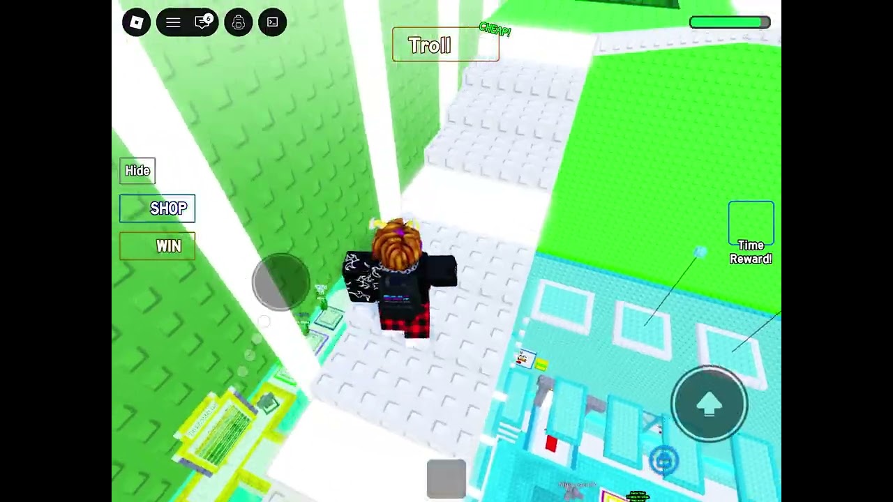 Playing a game (Roblox)