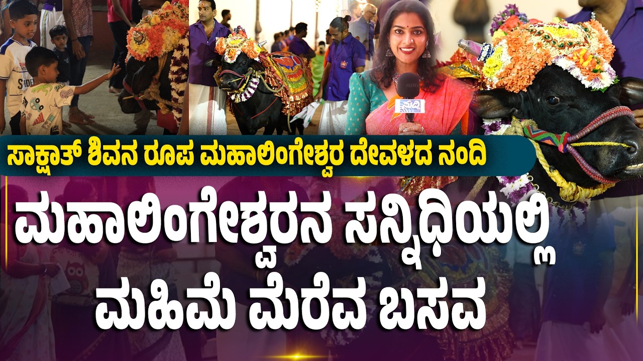MAHALINGESHWARA | NANDHI | ಮಹಾಲಿಂಗೇಶ್ವರನ ಸನ್ನಿಧಿಯಲ್ಲಿ ಮಹಿಮೆ ಮೆರೆವ ಬಸವ