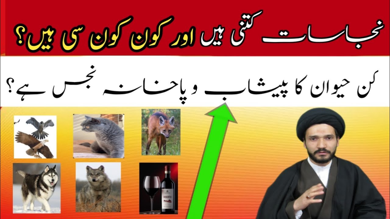#نجاسات کتنی ہیں#نجاسات کون کون سی ہیں؟#کن حیوان کا پاخانہ اور پیشاب نجس ہے؟