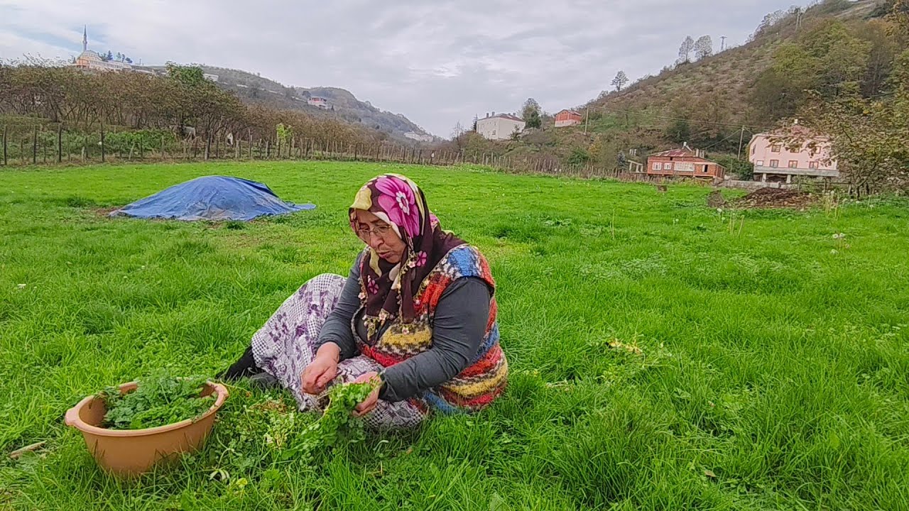 🌾 Doğada Yabani Kazayağı Otu Topladık | Köy Yaşamı Vlogu