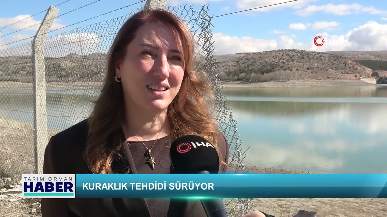 Son yağışlar tarıma olumlu yansıdı