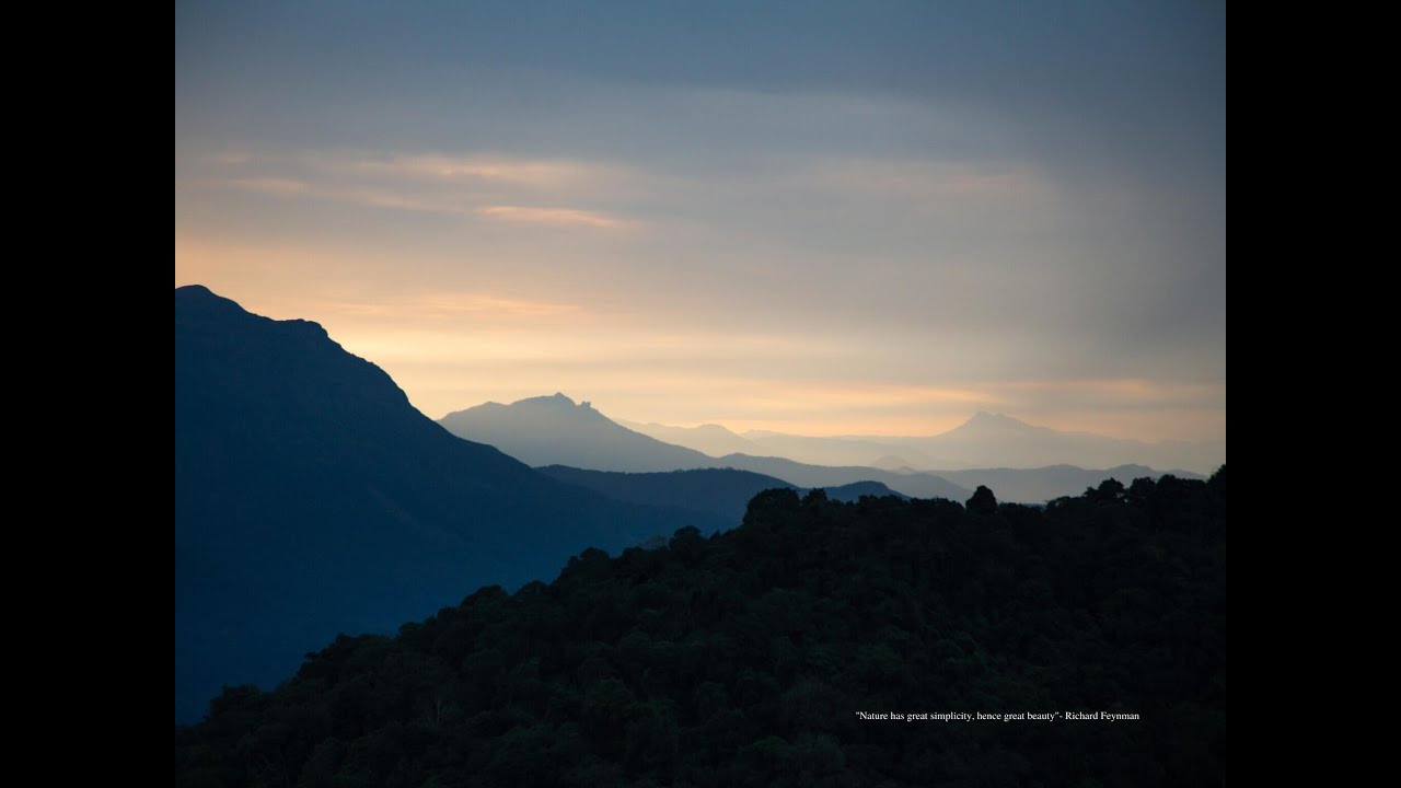 SHOLAS OF KUDREMUKHA | Documentary
