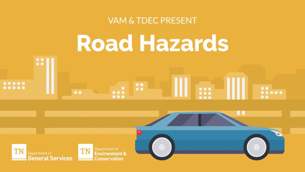 VAM: Driving Hazards