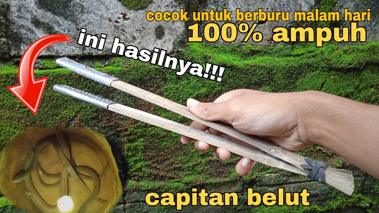 CARA MEMBUAT CAPITAN BELUT, COCOK UNTUK BERBURU MALAM HARI‼️