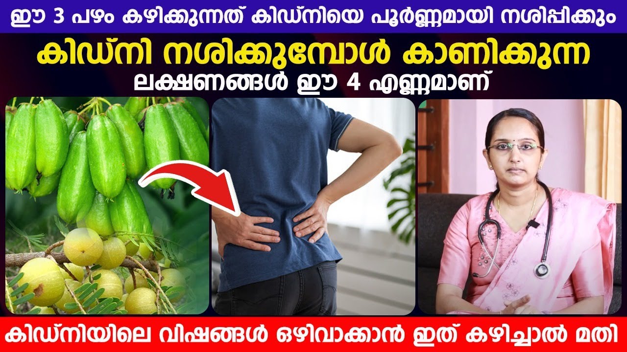 ഈ പഴങ്ങൾ കഴിച്ചാൽ കിഡ്നി പൂർണ്ണമായും നശിക്കും. ഈ ലക്ഷണങ്ങൾ നിങ്ങൾ കാണുന്നുണ്ടോ?| vrikkarogam