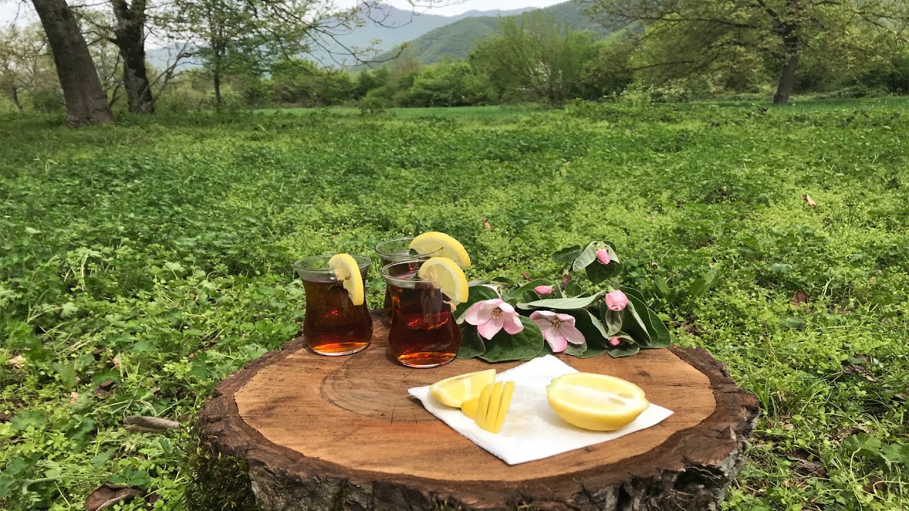 Dağlar qoynunda - Mamrux (Zaqatala)