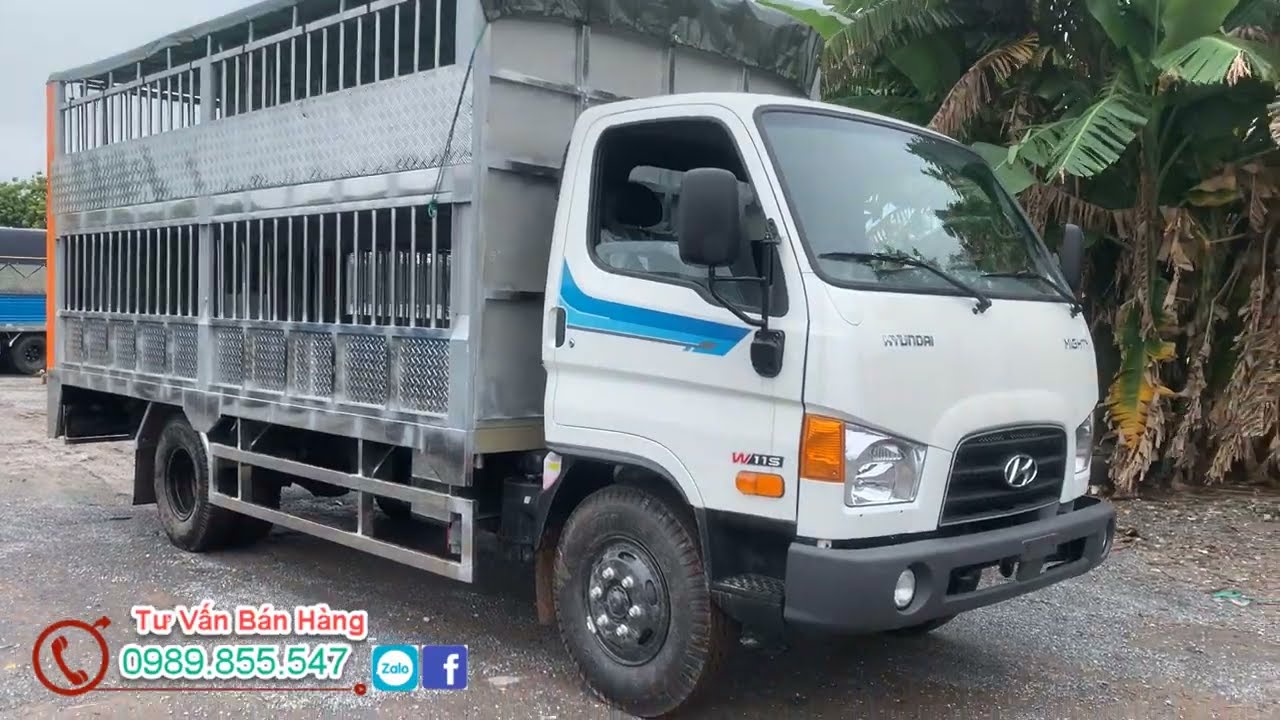 Xe Tải Hyundai W11S Chở Gia Súc |  Xe Tải Chở Lợn 7 Tấn Hyundai