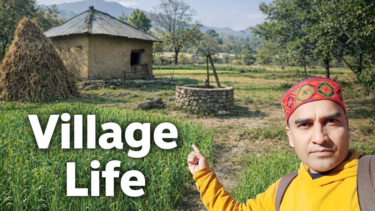Mera Gaon Aur Uske Khet | Real Village View | Himachal Village Life -1