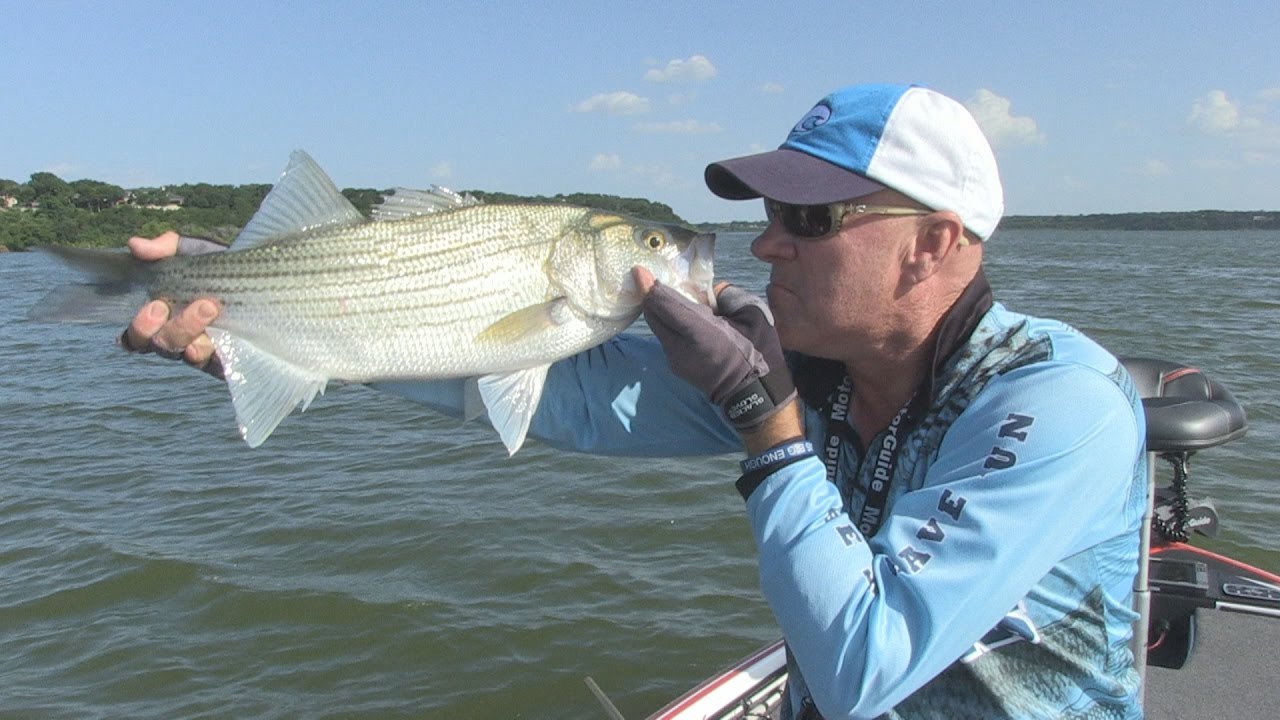 FOX Sports Outdoors SouthEAST #36 - 2016 Lake Belton Texas Hybrid Striper Fishing