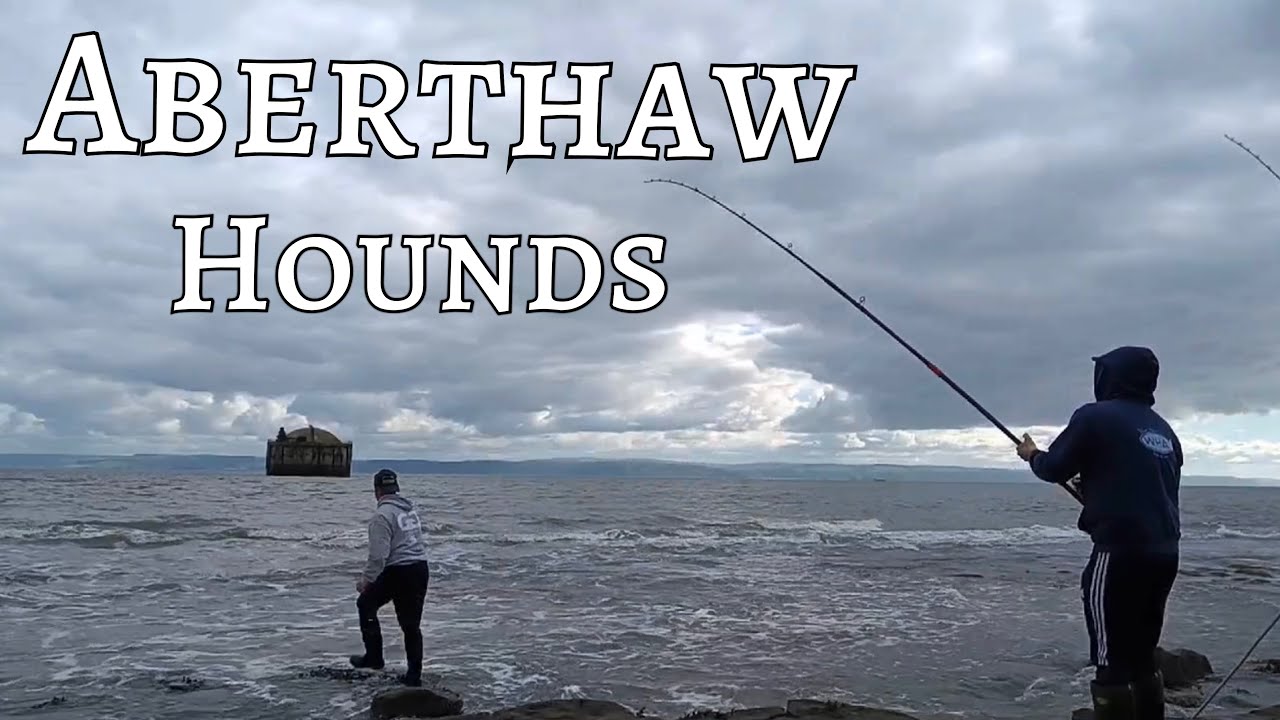 UK Sea Fishing At Aberthaw Targeting Smooth Hounds