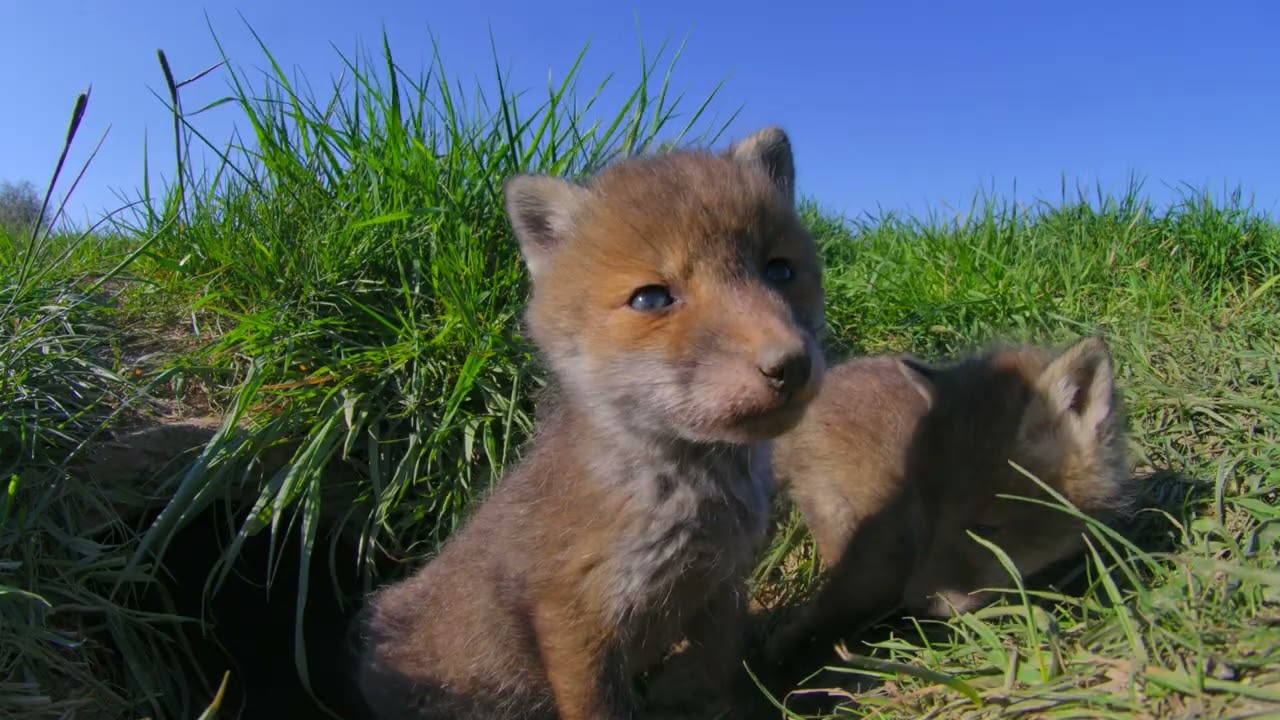 Natur schützen. Wildnis erleben. In unserem Nationalpark Egge.