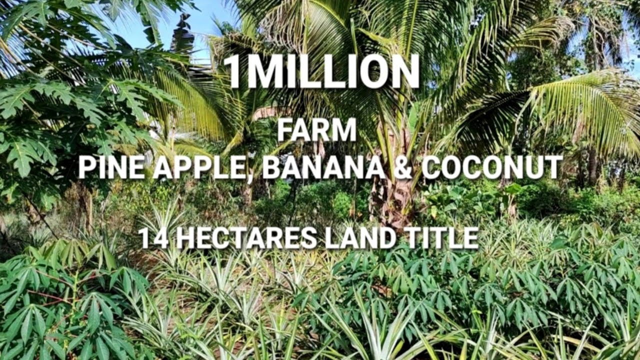 #365 #FARM WITH INCOME