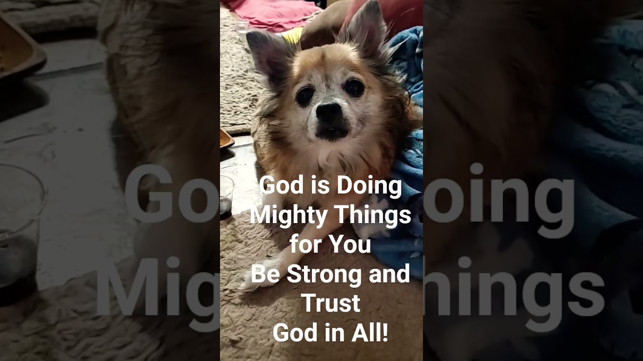 Gods Mighty Things! 