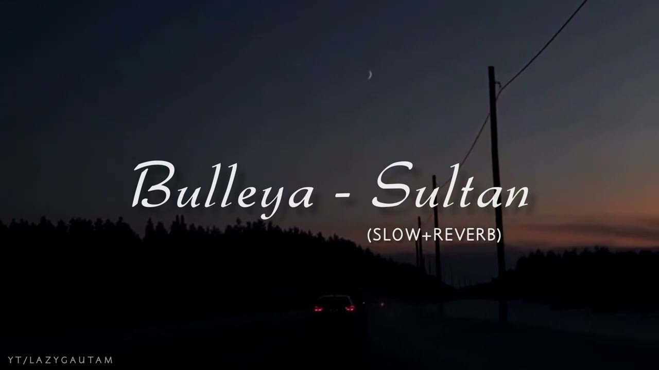 Bulleya-Sultan (Slow+Reverb) | Papon | Lofi Song | Salman Khan