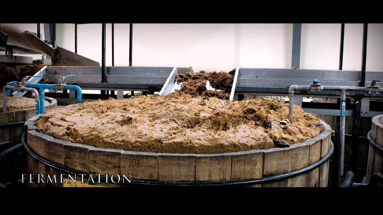 Introduction To Tequila - How Is Tequila Made? | Fine Drinks Movement