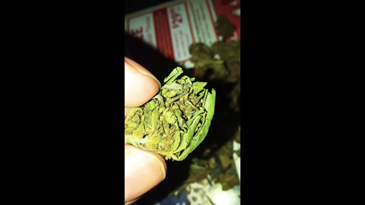 Purple CBD Hemp Flower | TKO Terp Nation