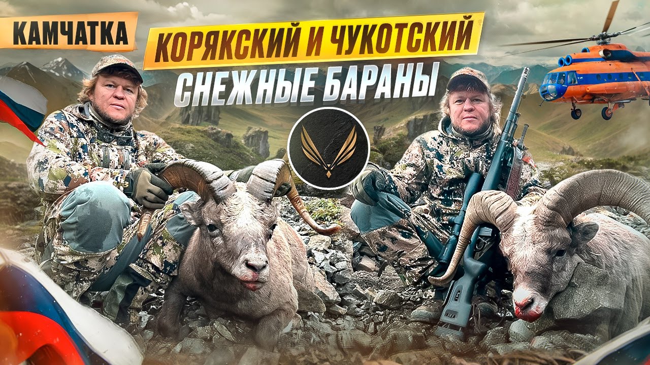 ГОРНАЯ ОХОТА НА КАМЧАТКЕ | СНЕЖНЫЙ БАРАН | ОХОТА С ДЕНИСОМ МОРОЗОВЫМ