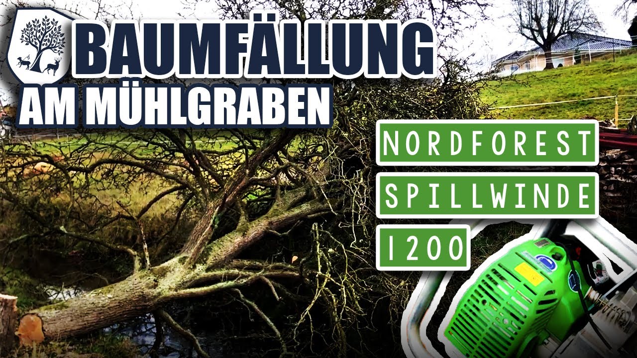 #33 | Baumf&auml;llung am M&uuml;hlgraben 🚧  //NORDFOREST Spillwinde 1200 🛠
