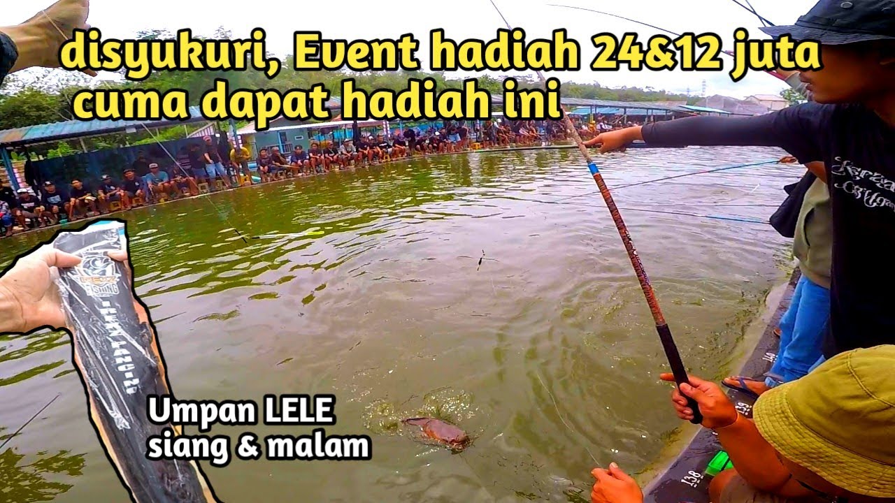 Strike langsung ditelan 😭 Lomba mancing lele hadiah 24 JT & 12 jt