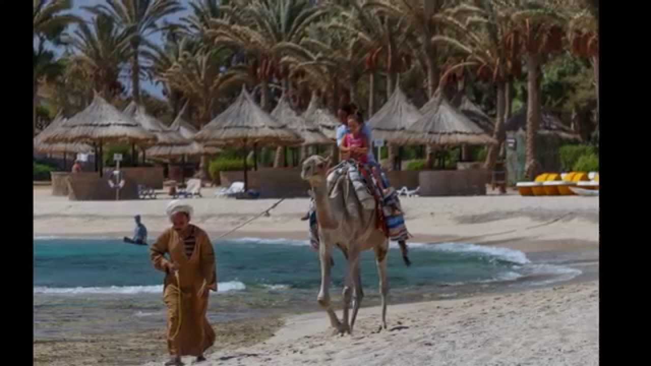 Mövenpick Resort El Quseir, Ägypten 2014