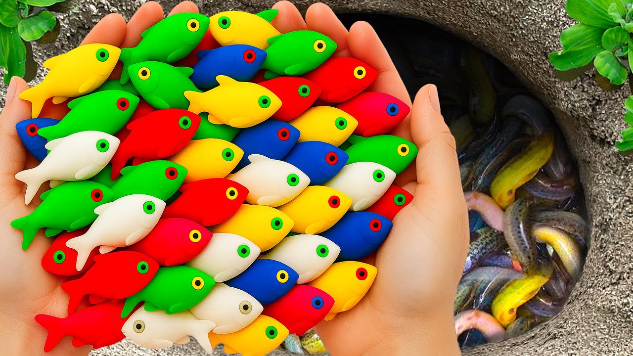 Catch Exotic Aquarium Fish In Small Pond, Metal Guppies, Turtles, Carp, Pencil Fish, Frogs, Snails
