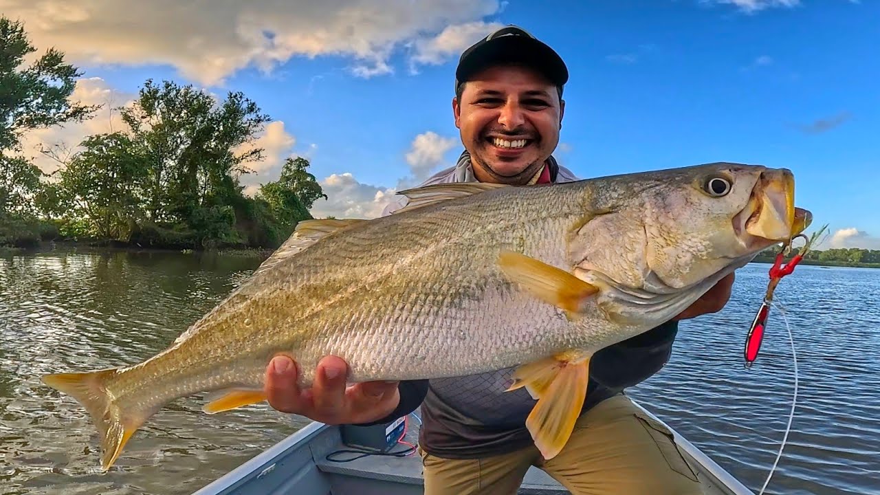 🔥 FAÇA ISSO e pegue muitas PESCADAS AMARELA com ISCAS ARTIFICIAIS |Pescaria de Robalos 