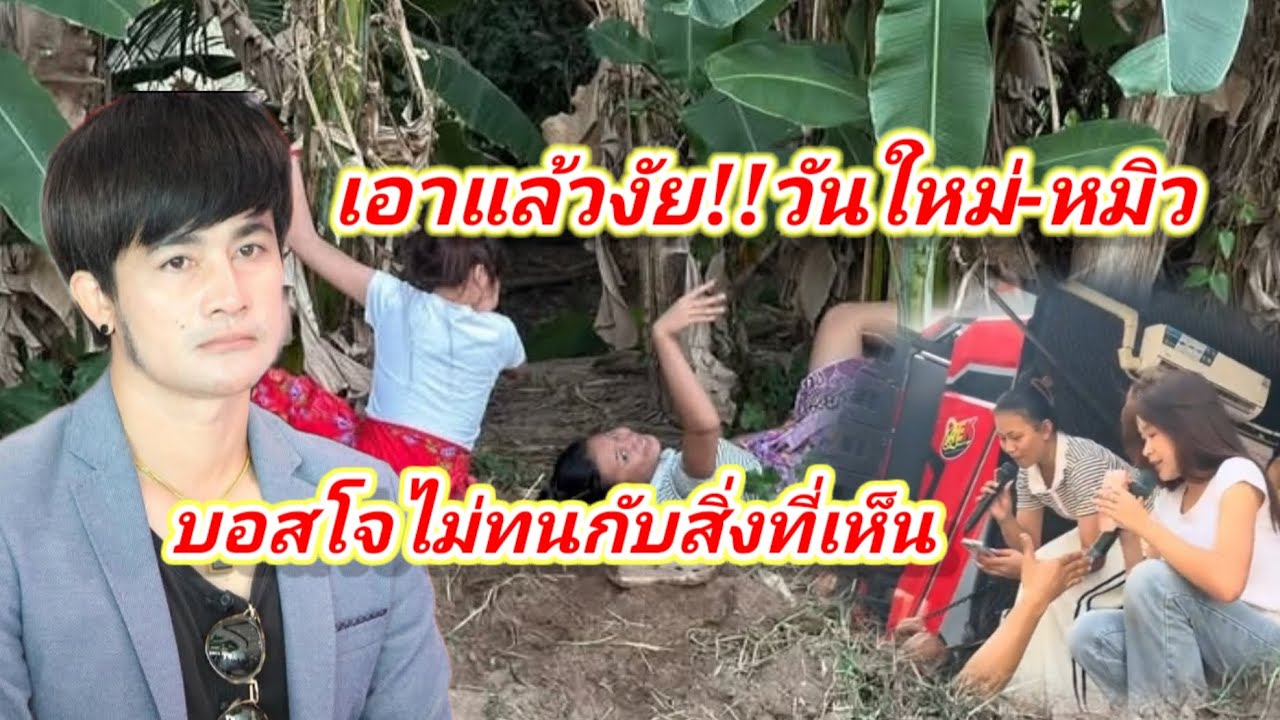 เอาแล้วงัย!!วันใหม่&หมิวบอสโจไม่ขอทนกับสิ่งที่เห็น#อุ๋งอิ๋งเพชรบ้านแพง