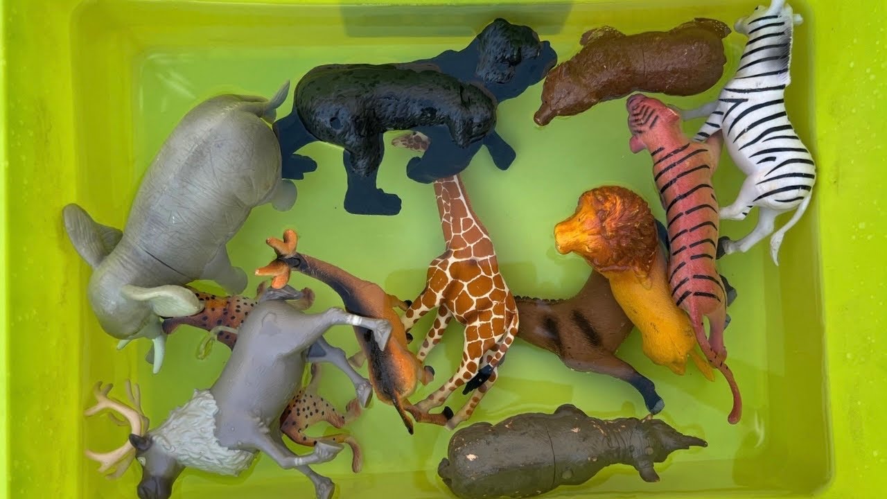 Learn Farm and Zoo Animals for Kids | Animal Names and Sounds!