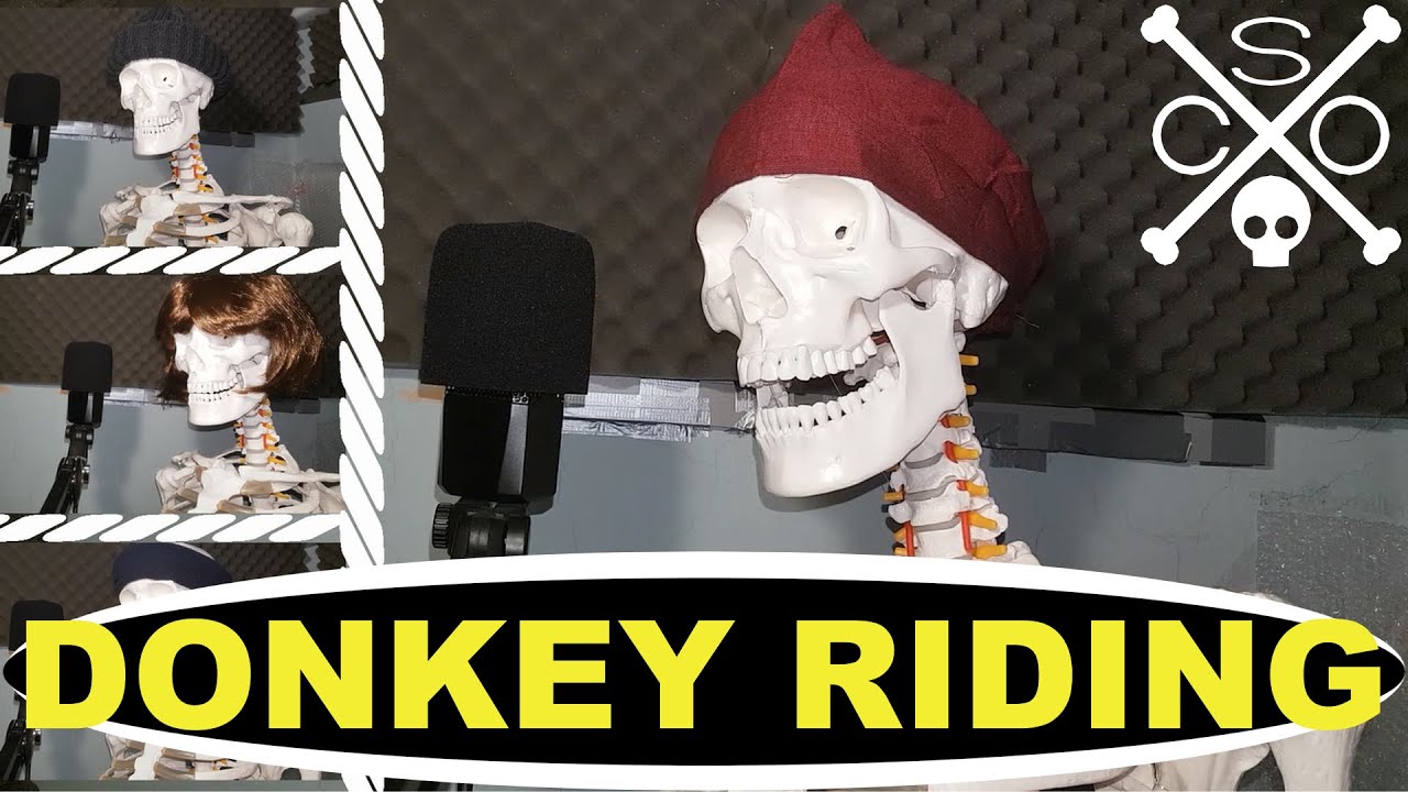 Donkey Riding - Sea Shanty Singalong - Skeleton Company