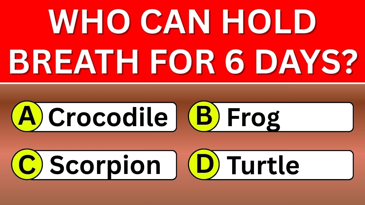 Can You Reach 30+ in This 50-Question General Knowledge Quiz? 🧠 | Wisdom Daily