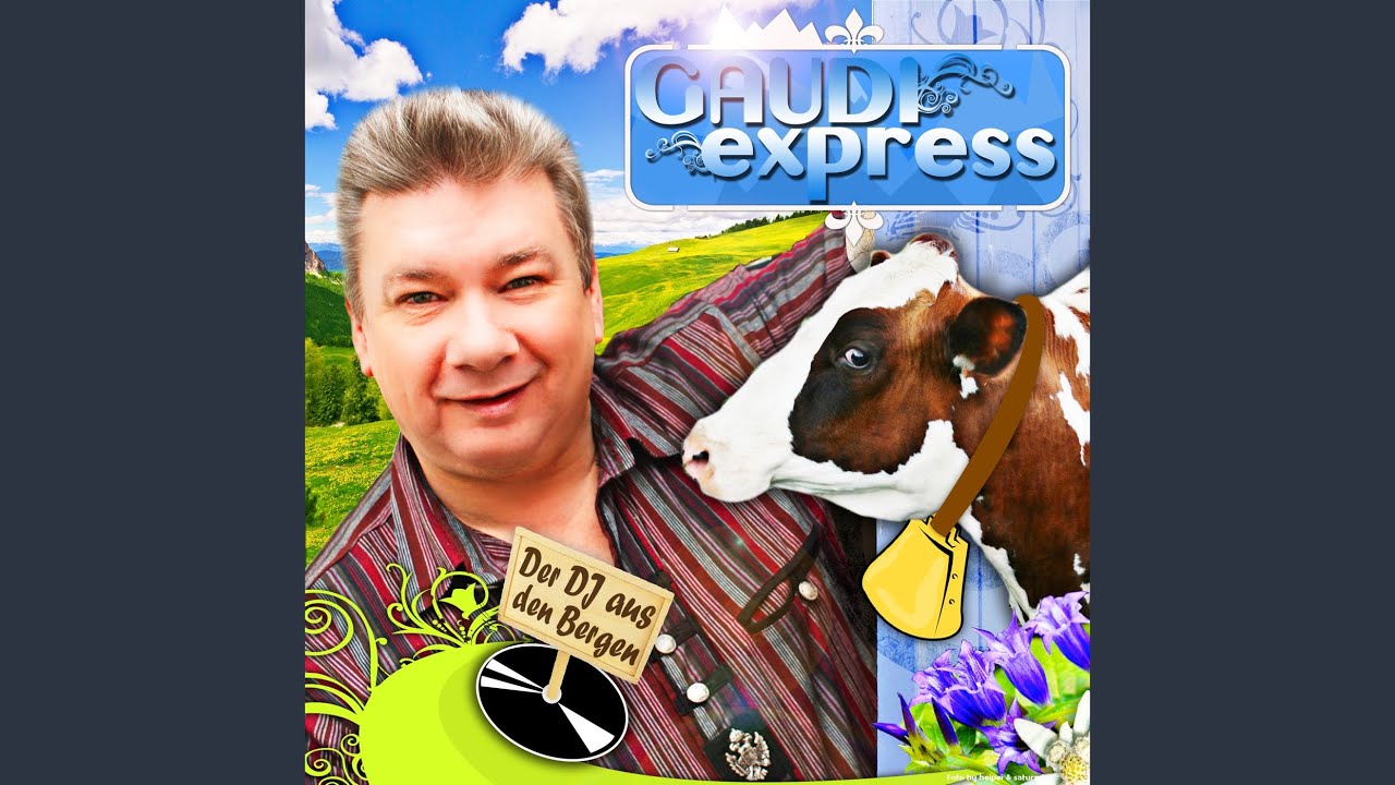 Der DJ aus den Bergen (Radio Edit)