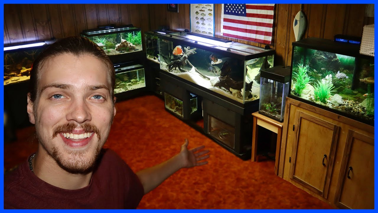 Полный обзор моей комнаты с рыбами!