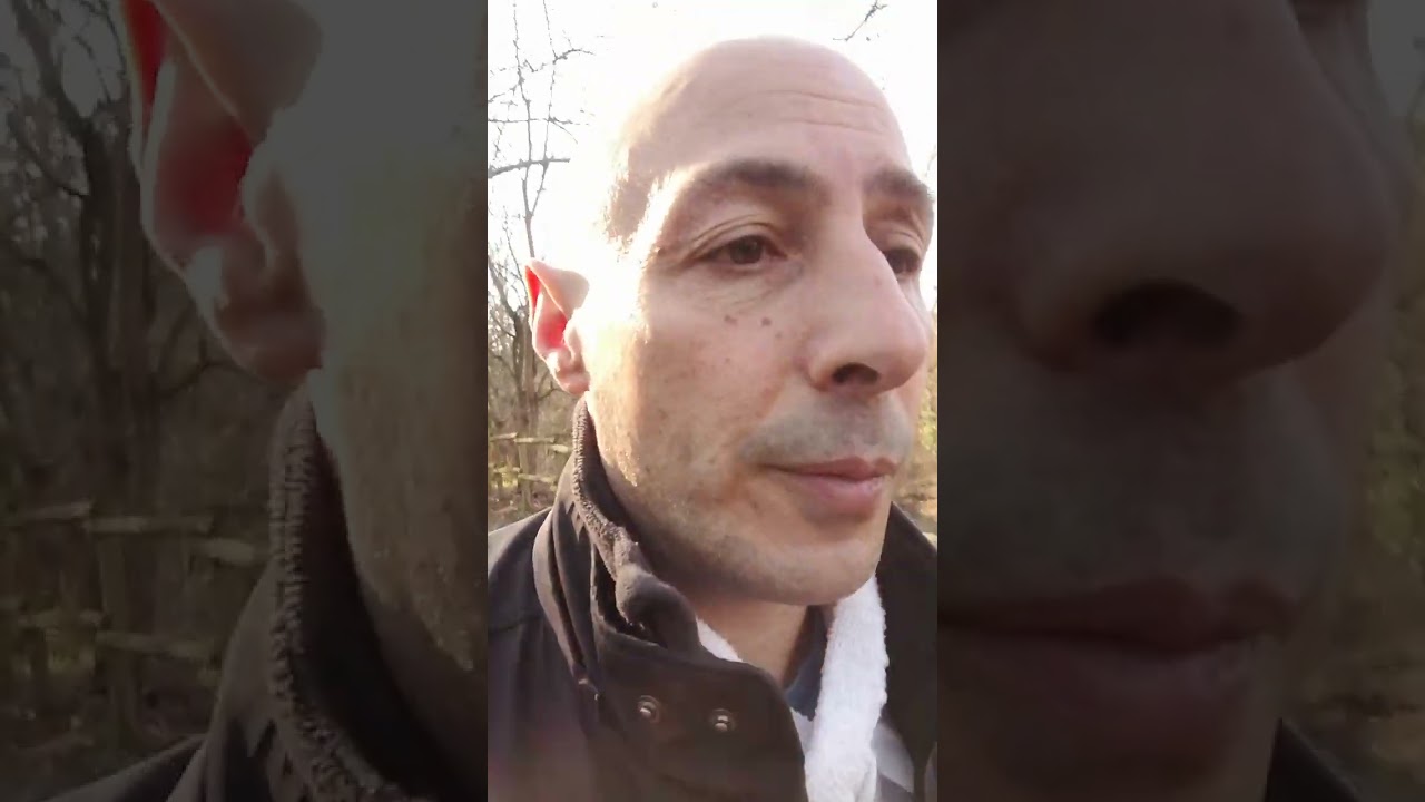 Pourquoi avoir recours au Gestionnaire de Transport en Prestation Externe - Alexis de Garibaldi.com