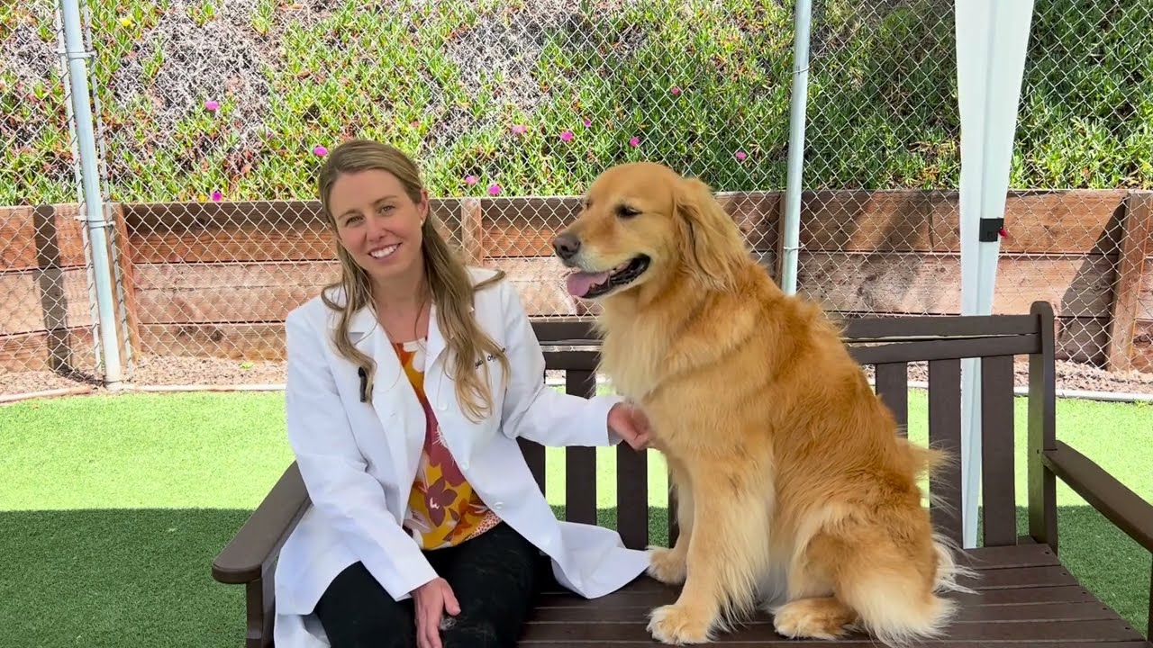 Get To Know Dr. Taylor Applegate