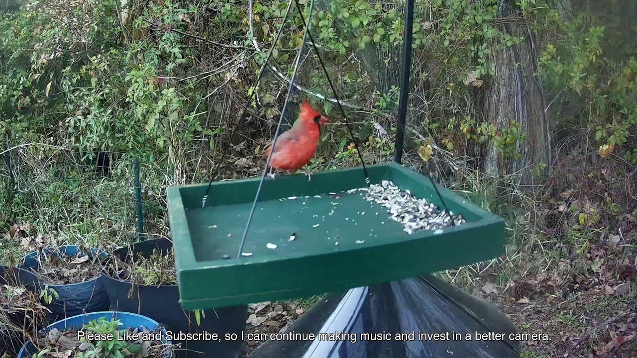 ADHD Focus Music, Perfect for Work ☘️