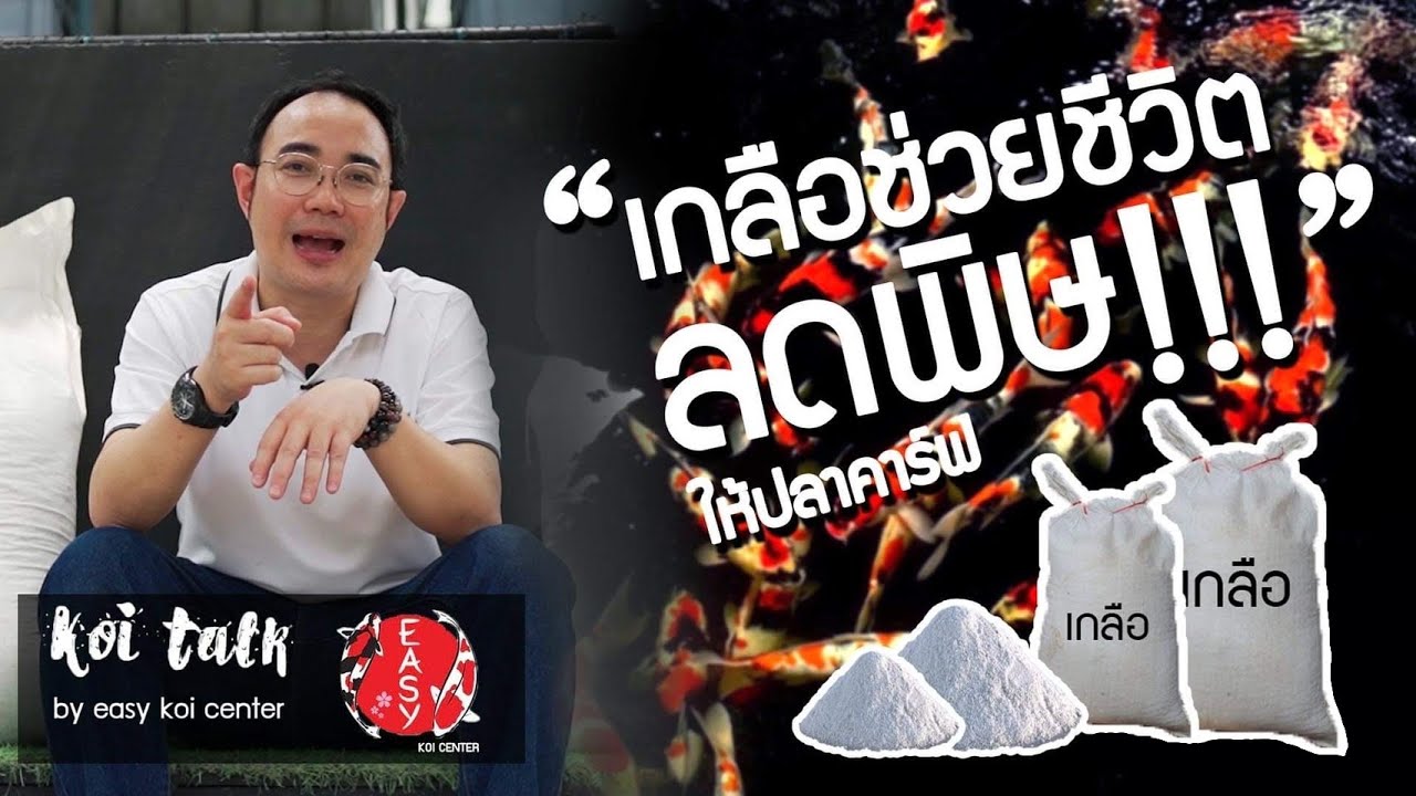 ประโยชน์และวิธีใช้เกลือแบบ 1/3/5 เพื่อสุขภาพปลาคาร์ฟ