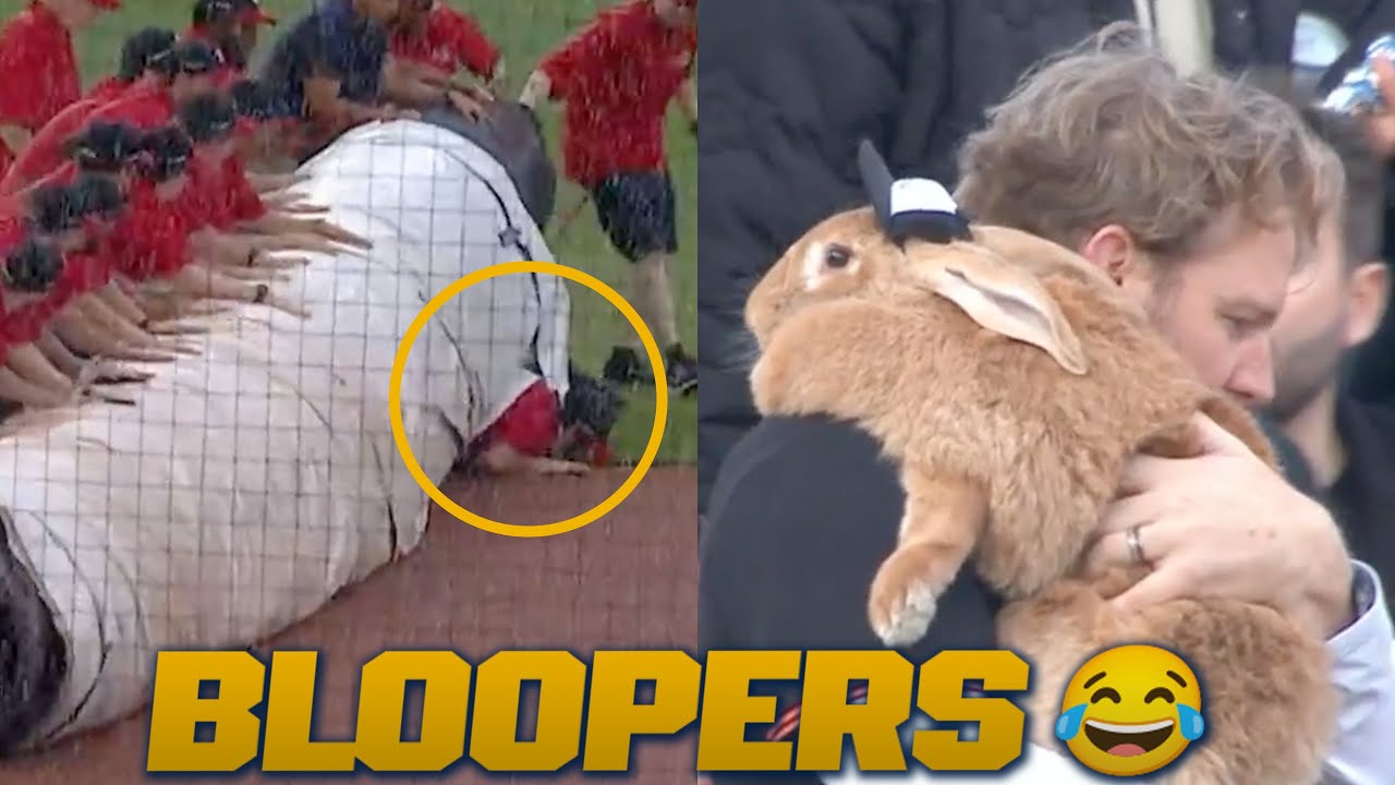 MLB's Funniest Bloopers & Oddities from April 2025! 😂 (Bunnies, tarp monster, tic-tac-toe AND MORE!)